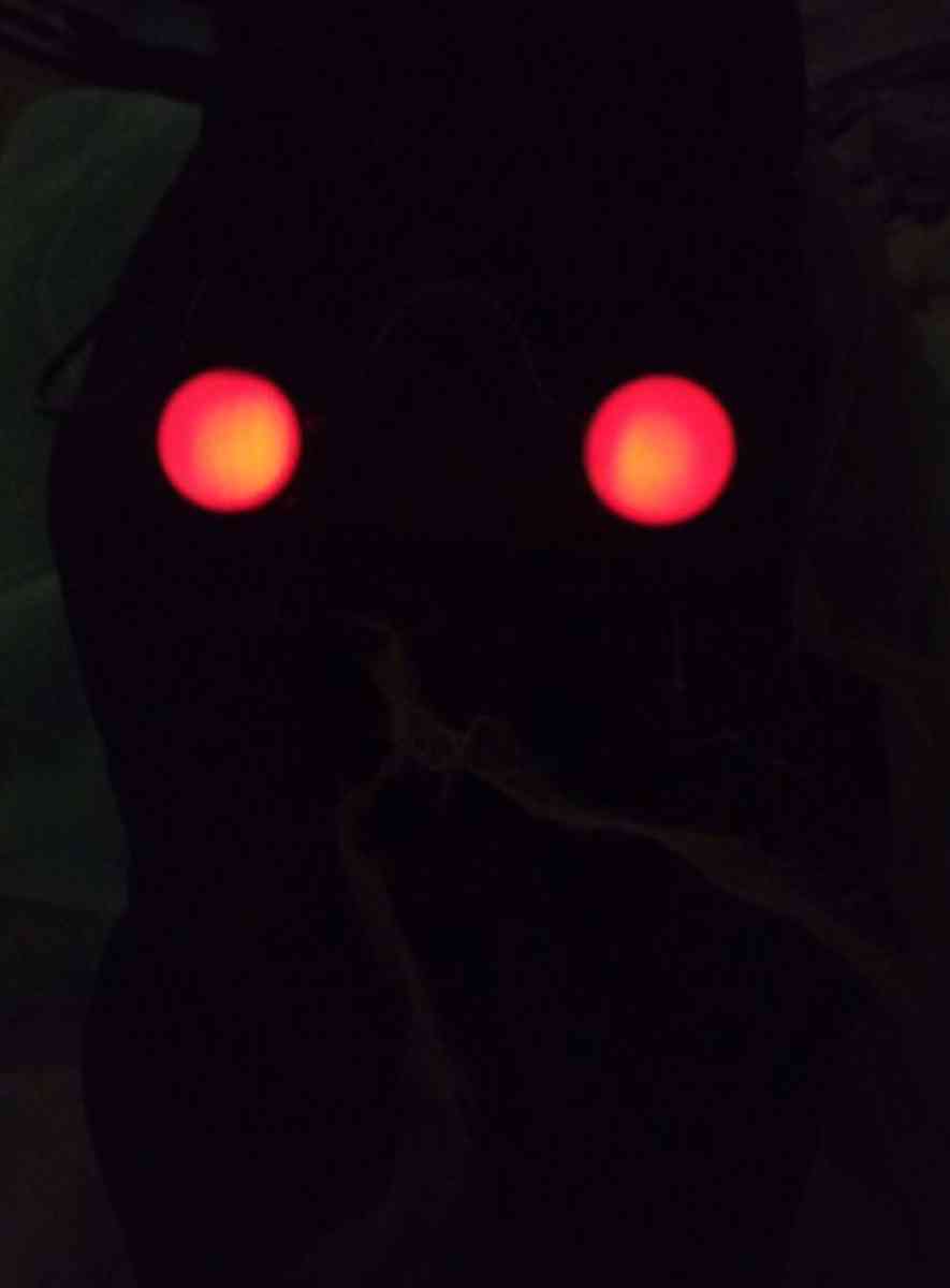 Fading Eyes Zombie Robe