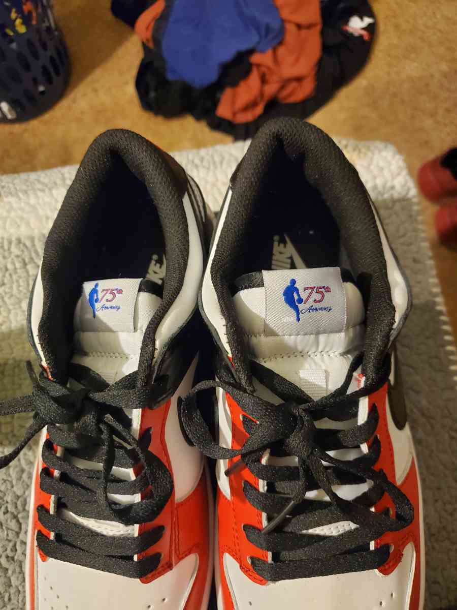 Nike dunks 75th anniversary tag sneakers
