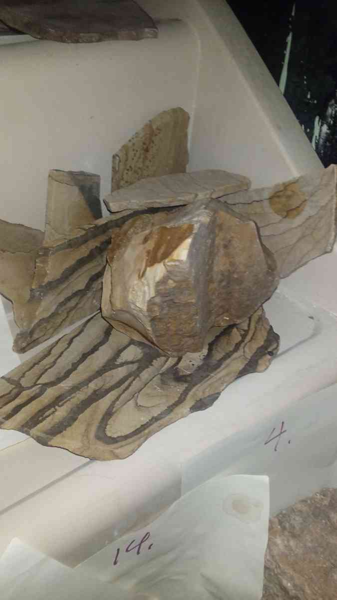 picture jasper beautiful elegant highly recommend