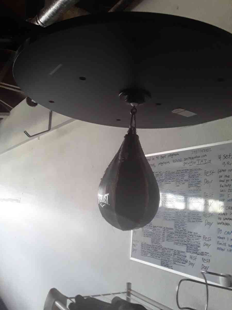 Everlast Punching Bag