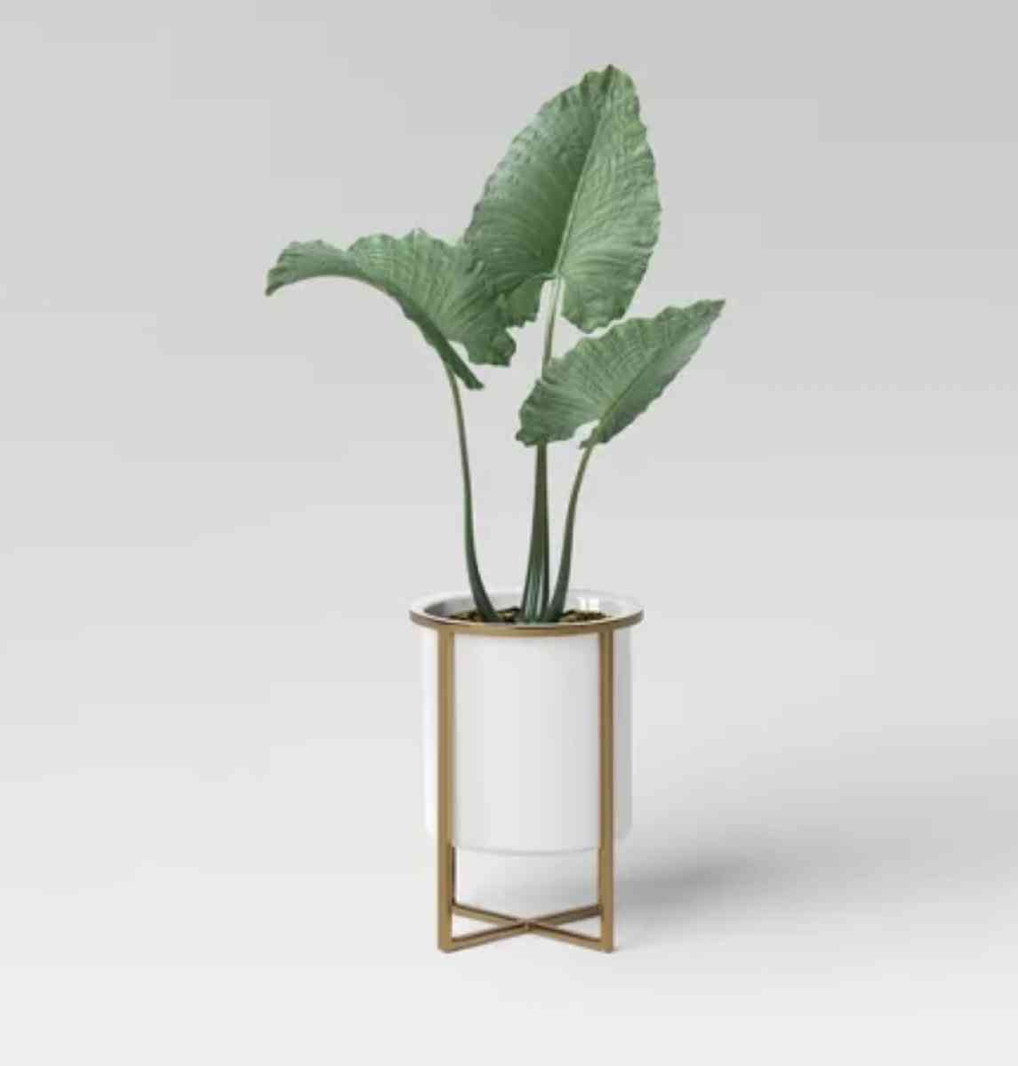 furniture all kind plz check the pictures 9495172600 mike