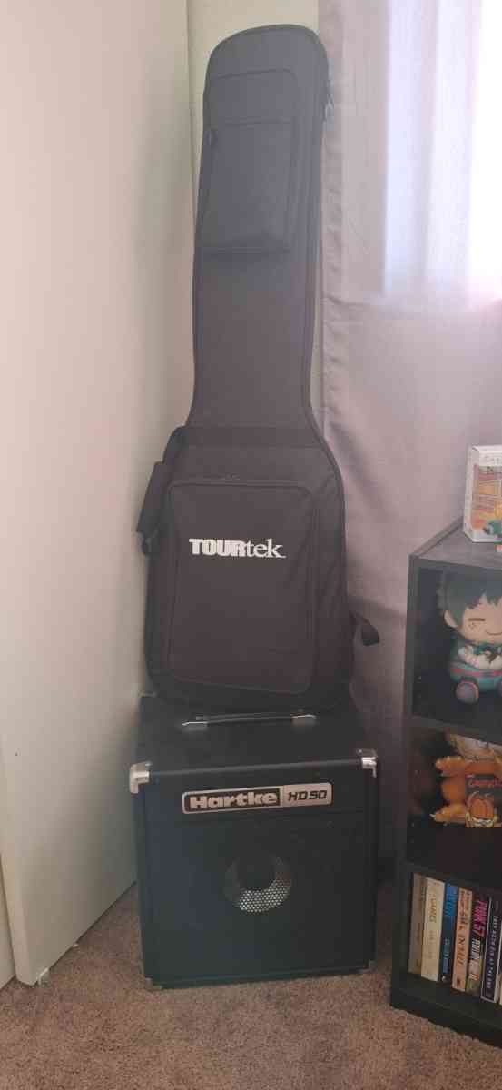 Electric bass guitar