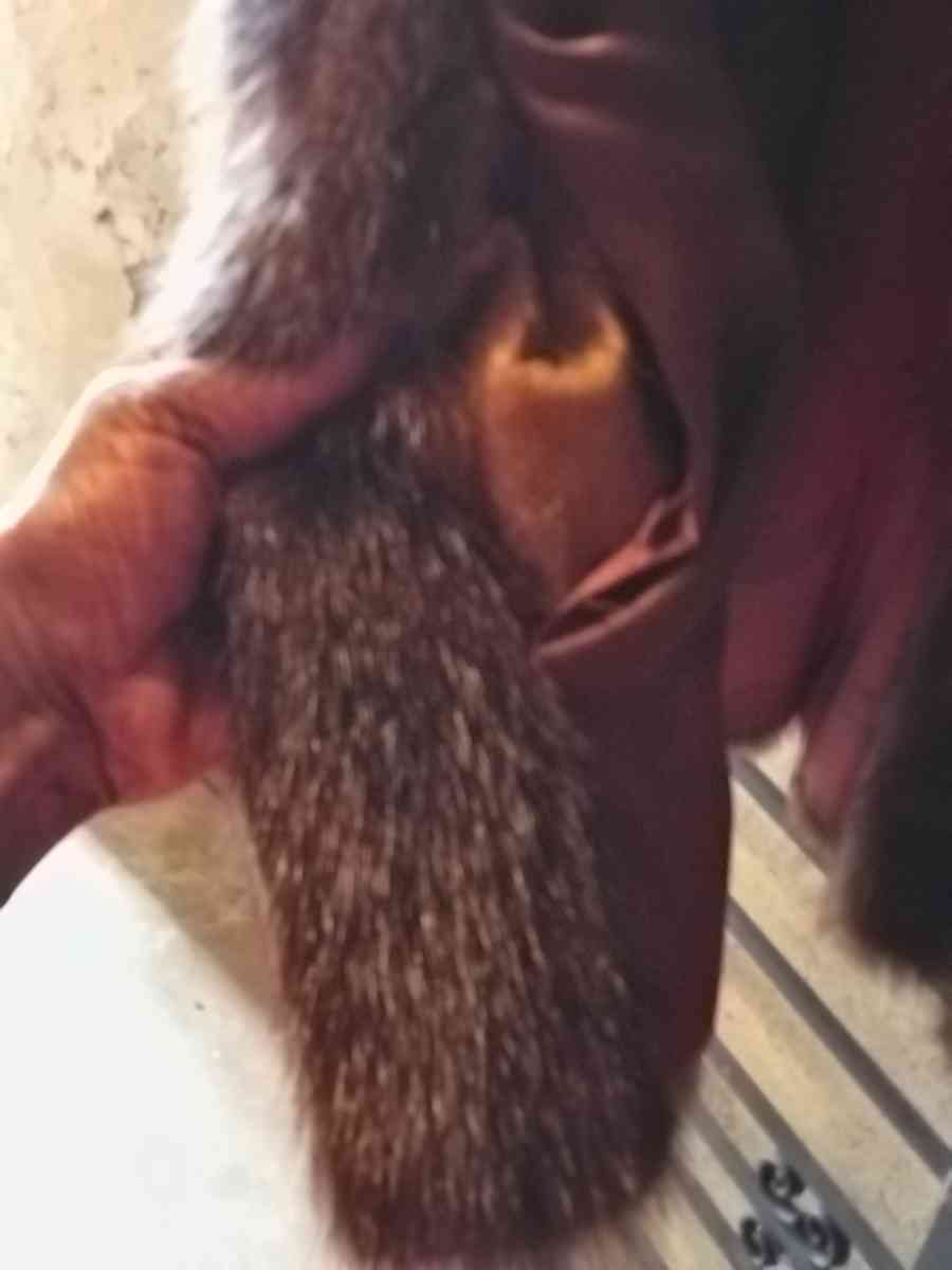 Vintage Russian Sable Fur