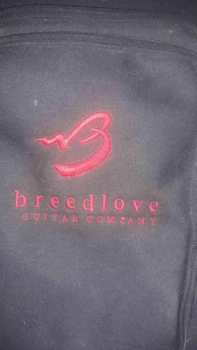 breedlove A25 Acoustic Guitar