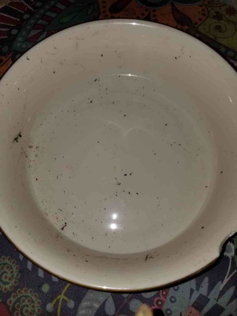 congress stamped serving bowl