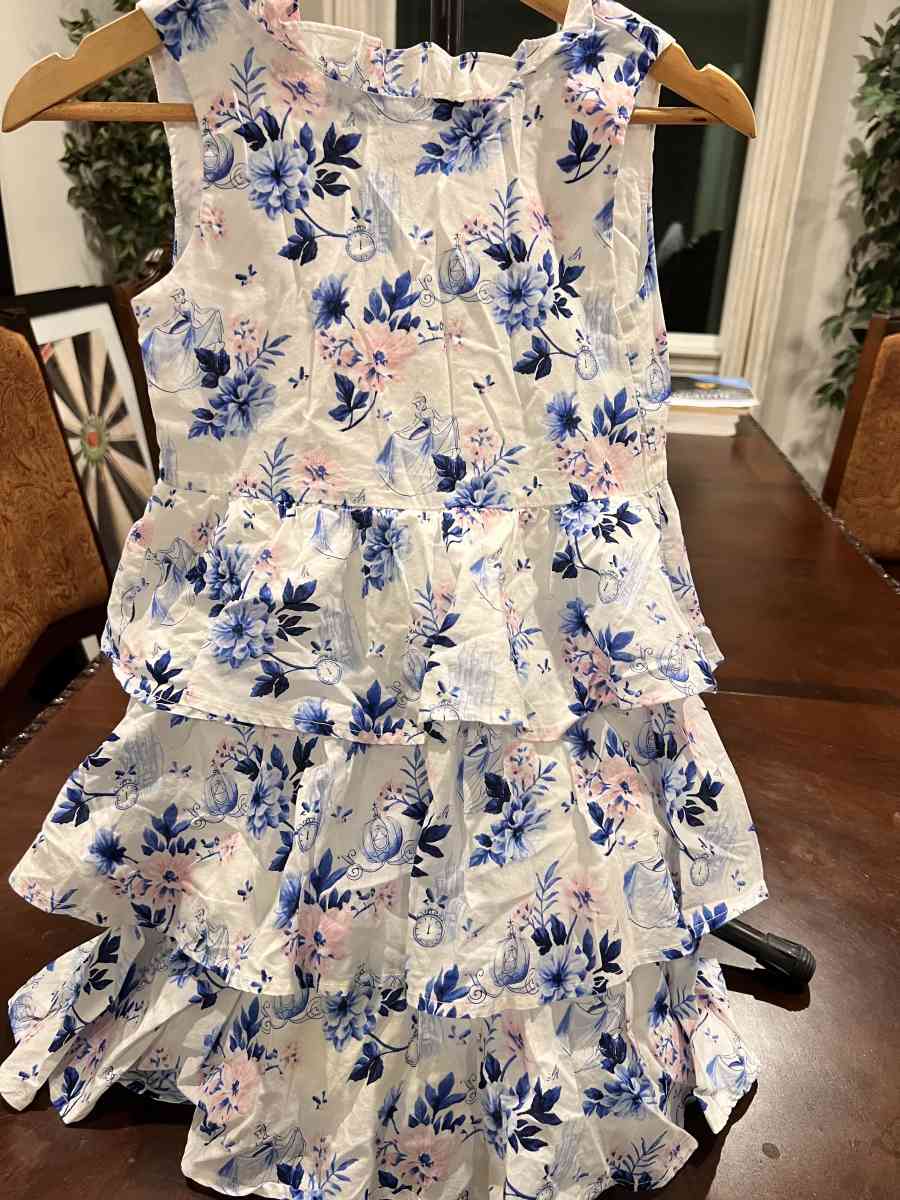 Janie and Jack Cinderella Dress and Floral dress size 8