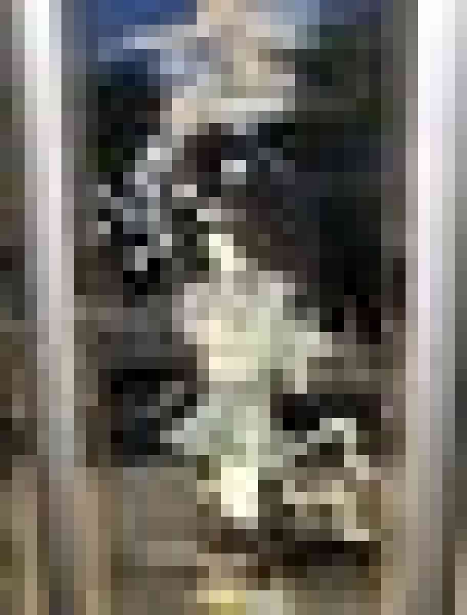 Japanese vintage rare find wall decor mother of pearl