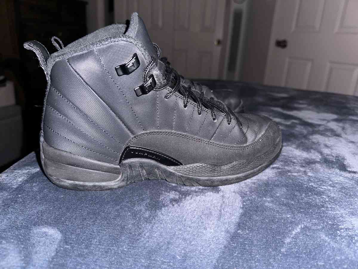 Jordan 12 Black