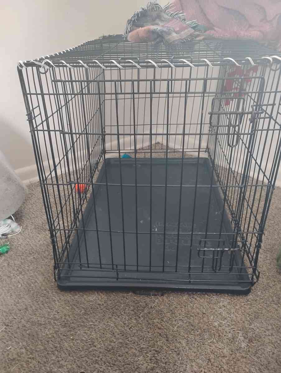 dog cage