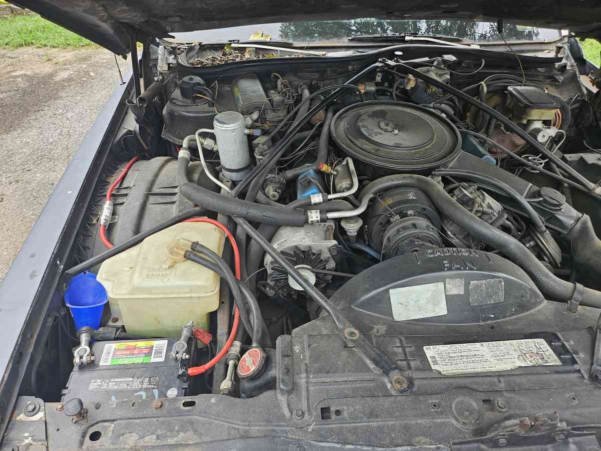 cadillac couple deville