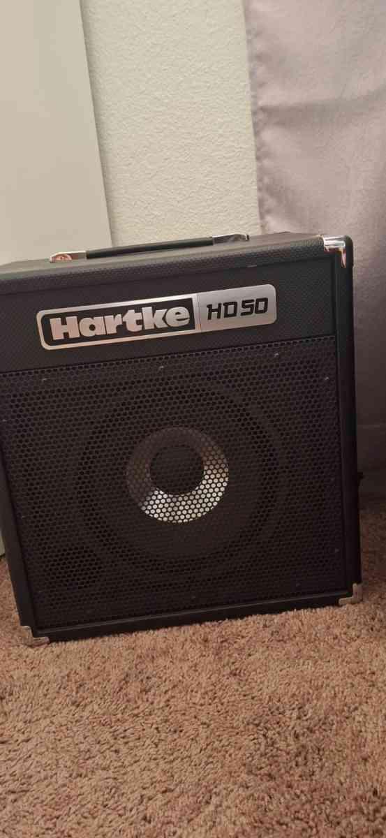 Electric bass guitar