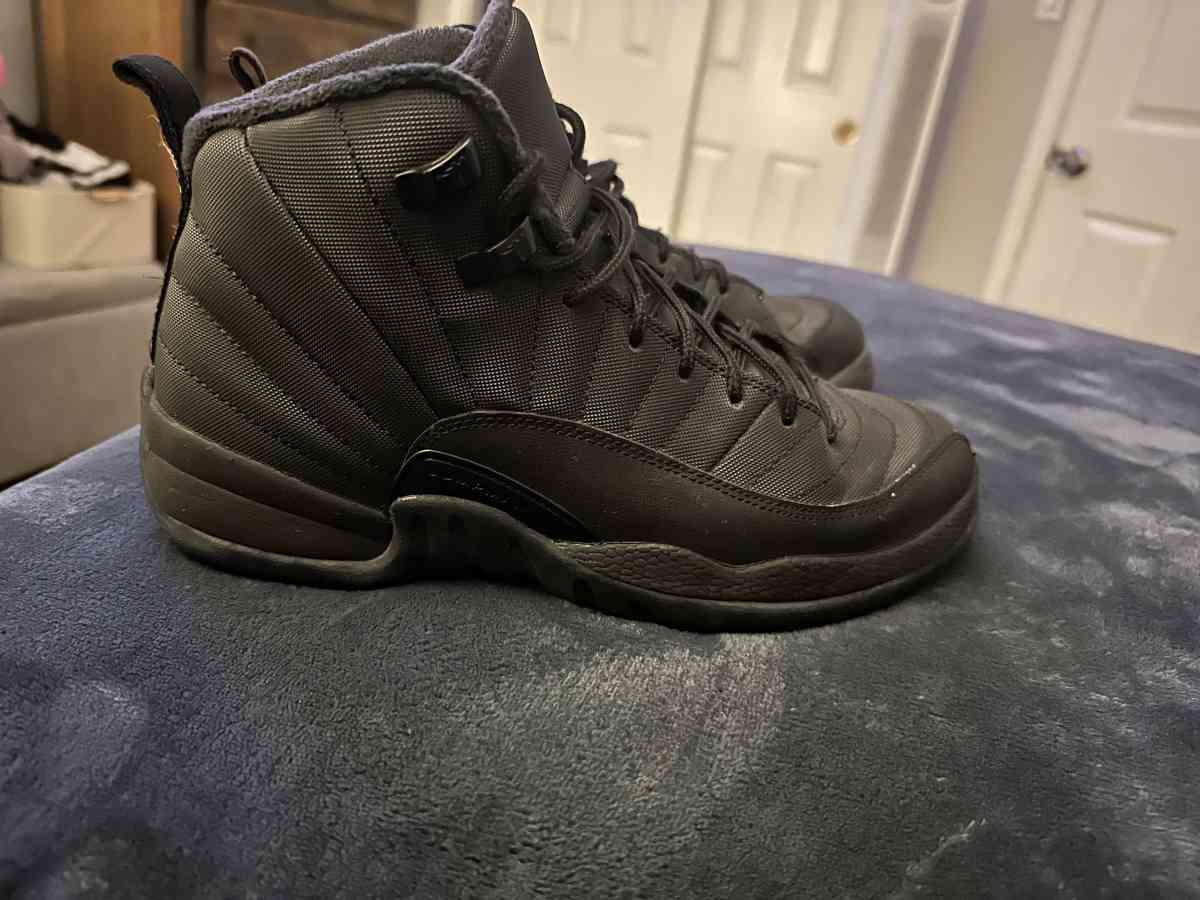 Jordan 12 Black