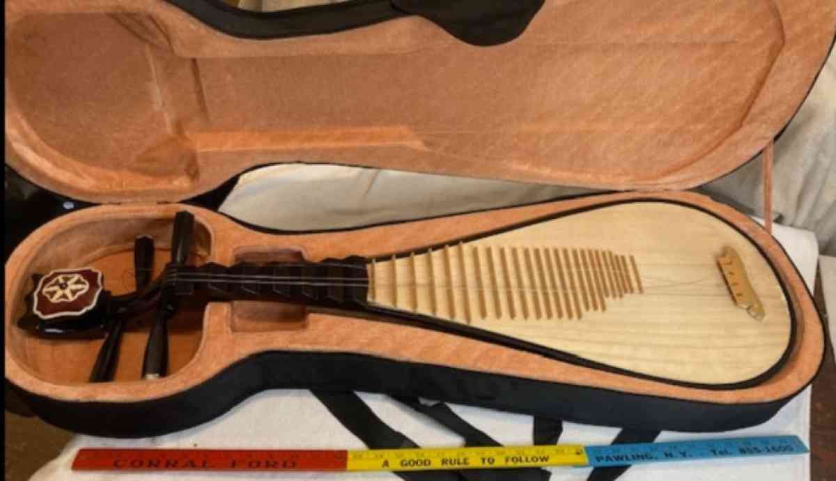 Chinese Pipa