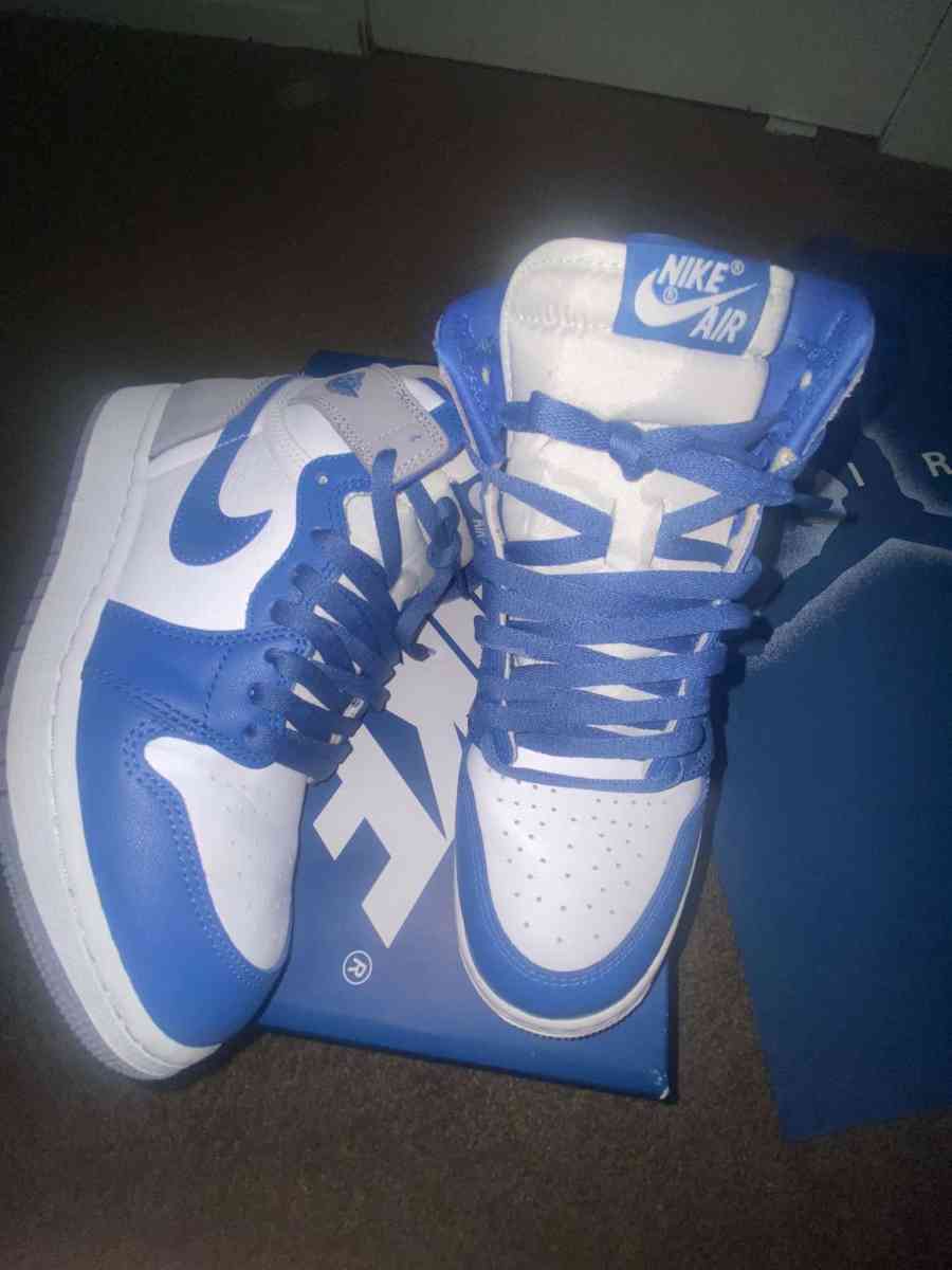 True Blue Air Jordan 1