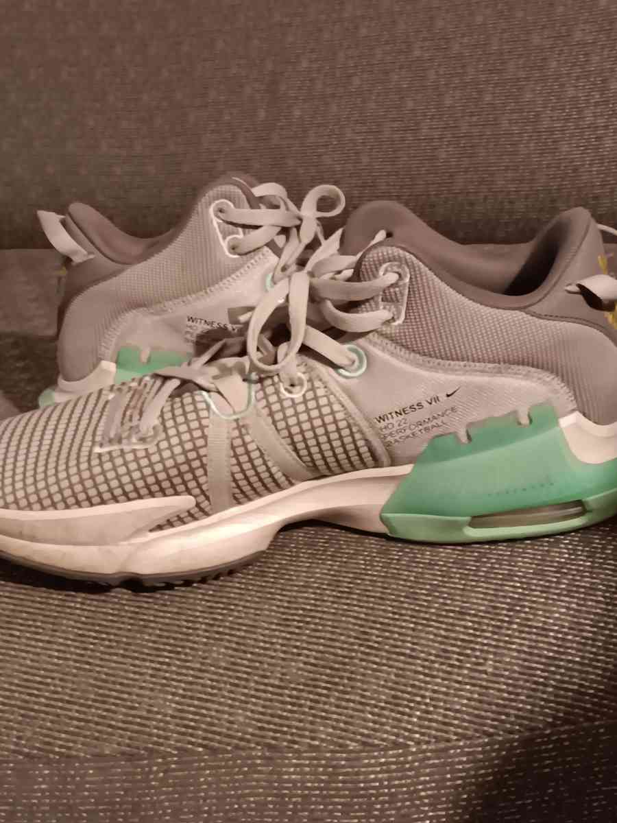 LeBron basketball shoes