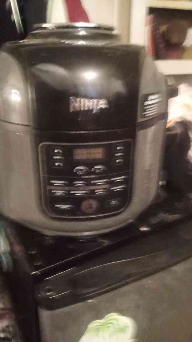 ninja air fryer