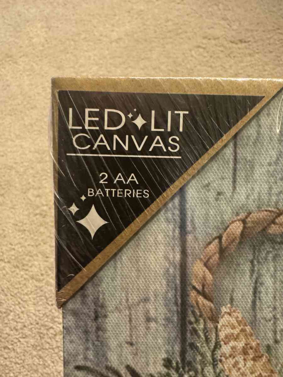 2008HTS BeachCoastal Christmas Lifesaver AA Battery Light Up