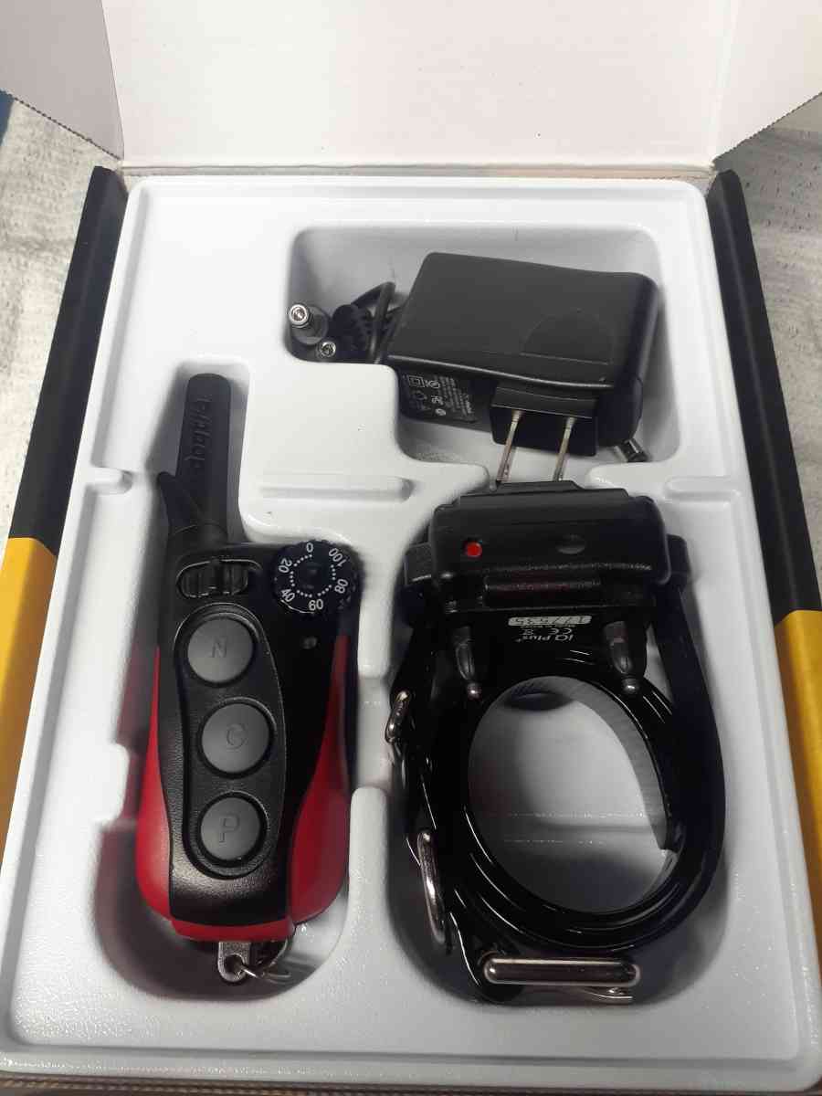 Doggy dog training aid