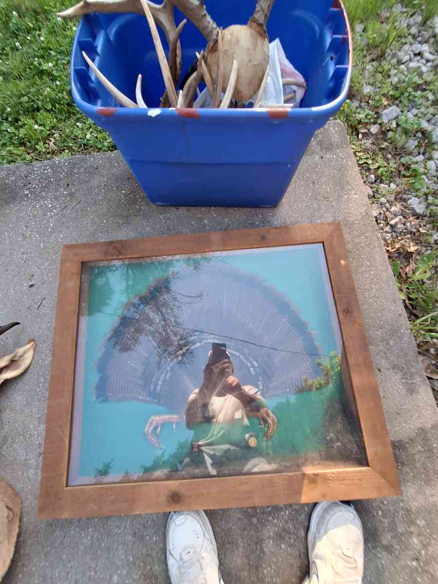 Deer mounts and others