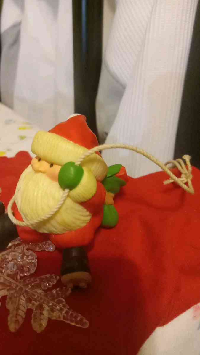 Christmas  ornament variety