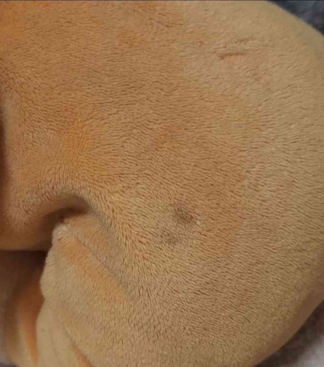 Disney Lady And The Tramp Plushes