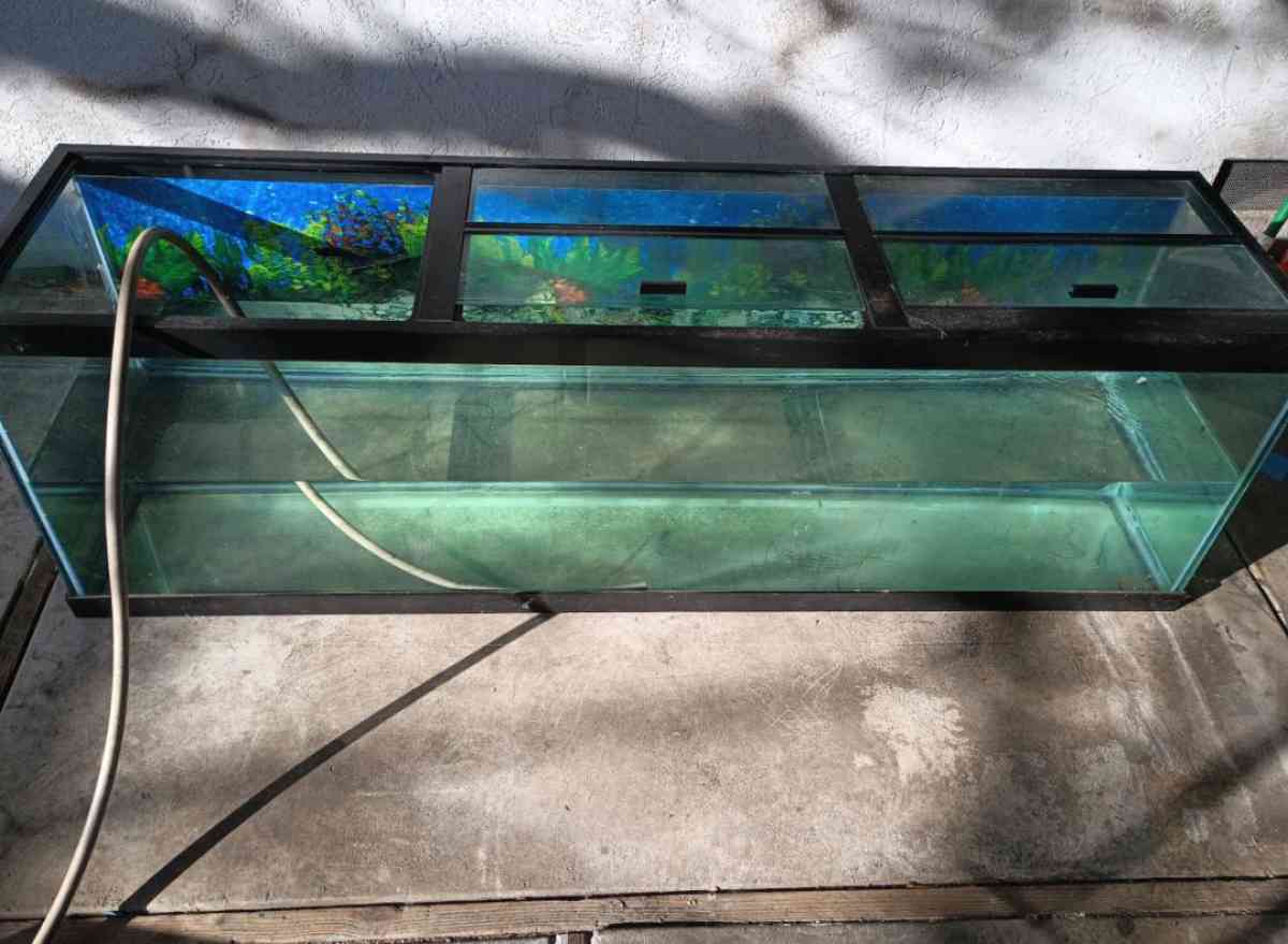125 Gallon Fish Aquarium