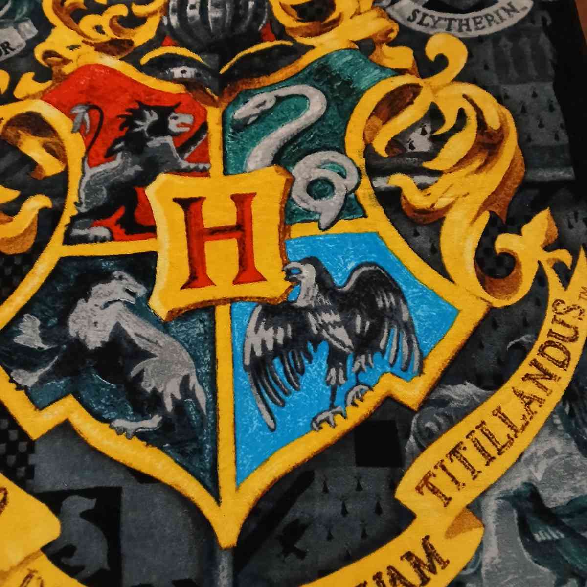 Harry Potter Blanket