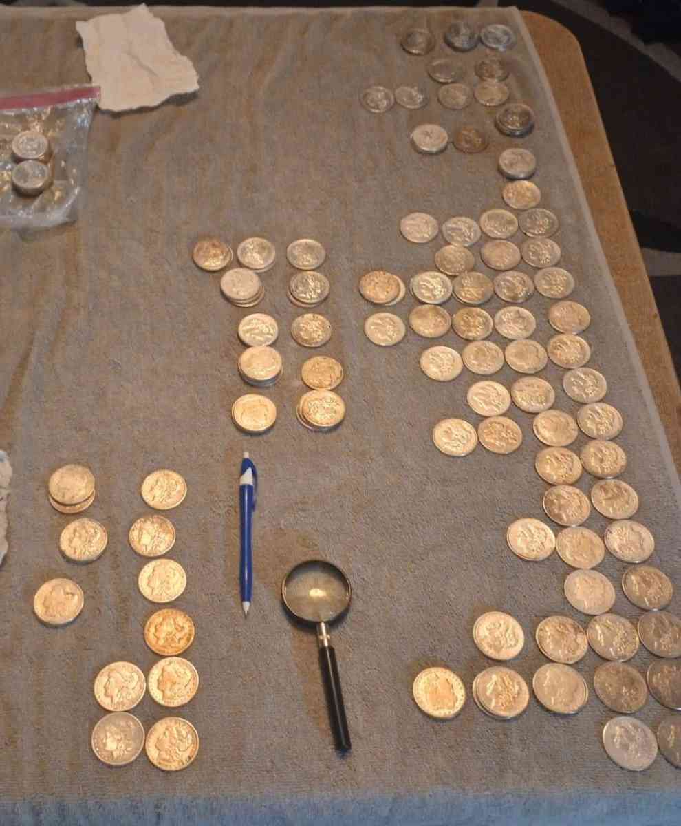 Morgan Dollar collection