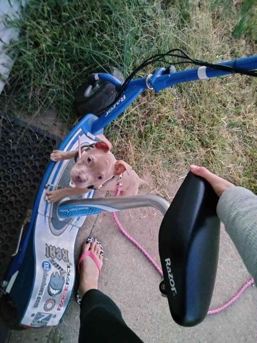 seated razor scooter e300