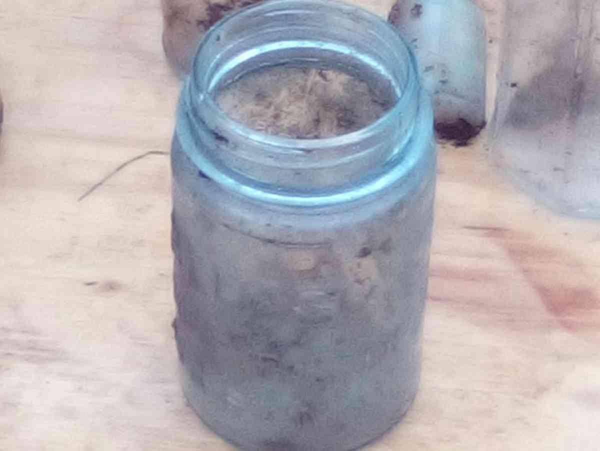 vintage jugs and bottles used but still in great shape