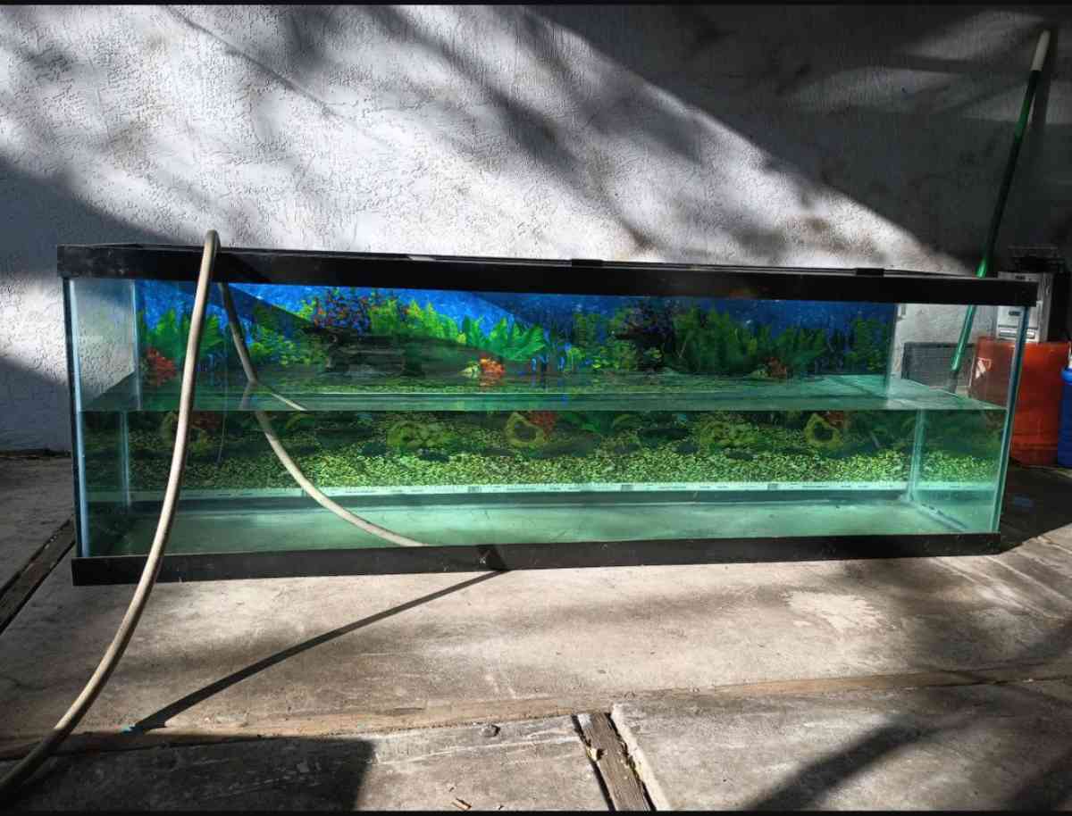 125 Gallon Fish Aquarium