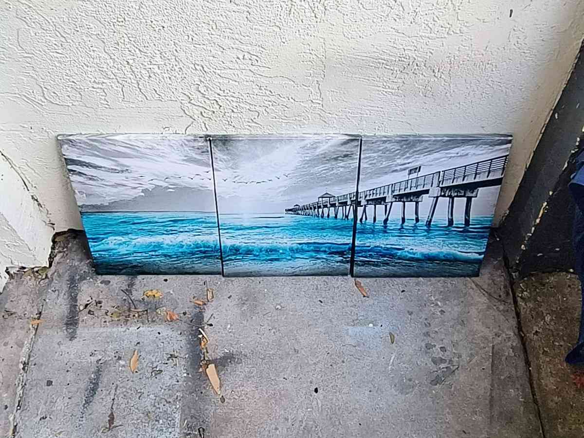 3 Piece Canvas Wall Art