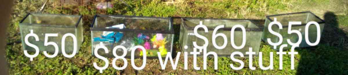 fish tanks and stuff