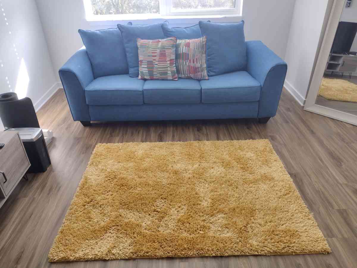 sofa and rug