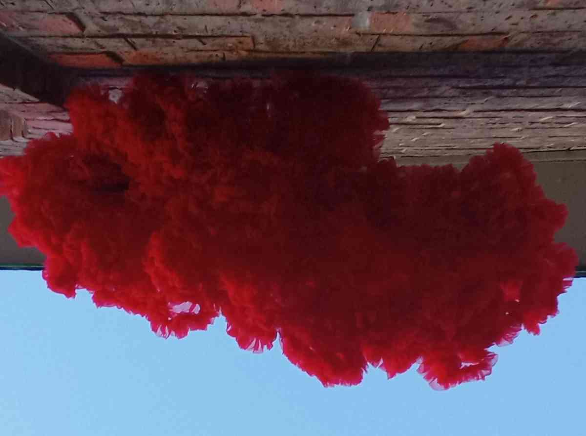 4 to 5yrs Red TuTu Pettiskirt NWT Button Cinchers