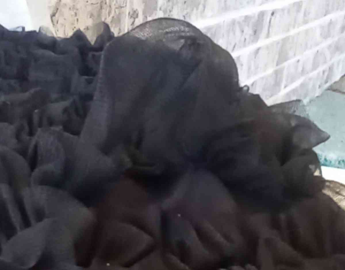 Black Ruffle Dance Wear Tank I have 5 of these EUC