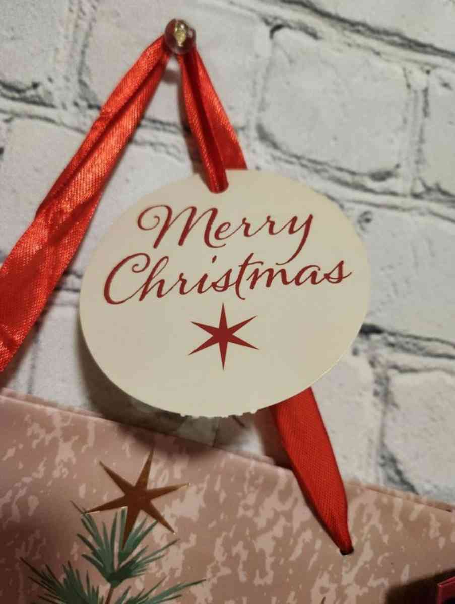 Christmas Gift Bags 2pc