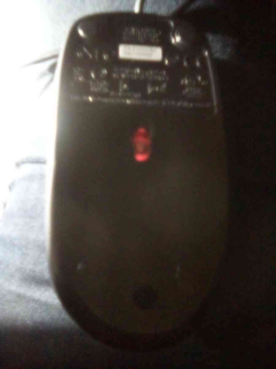 computer mouse
