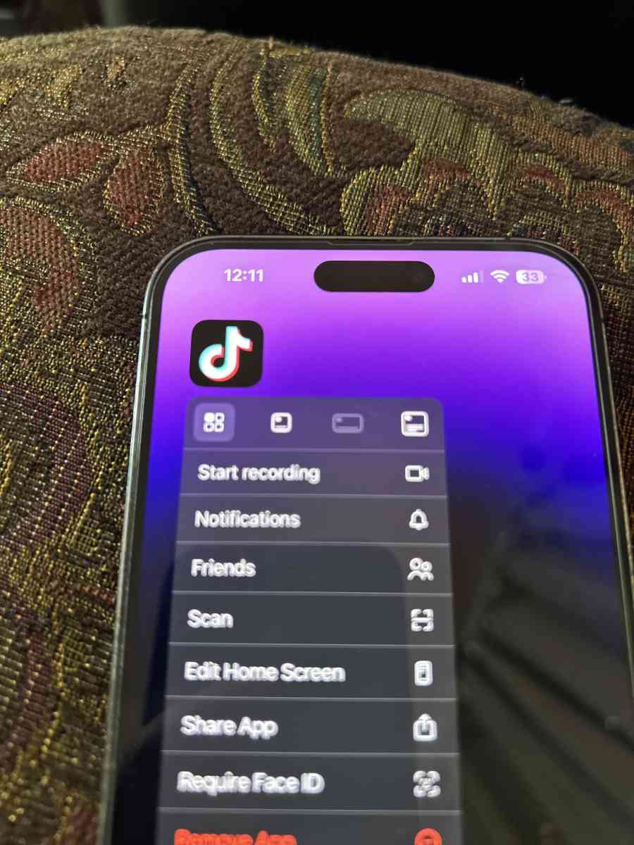 iPhone 14 Pro Max with TikTok