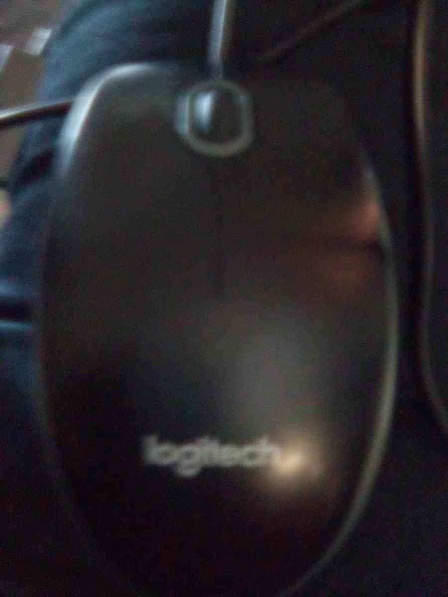 computer mouse