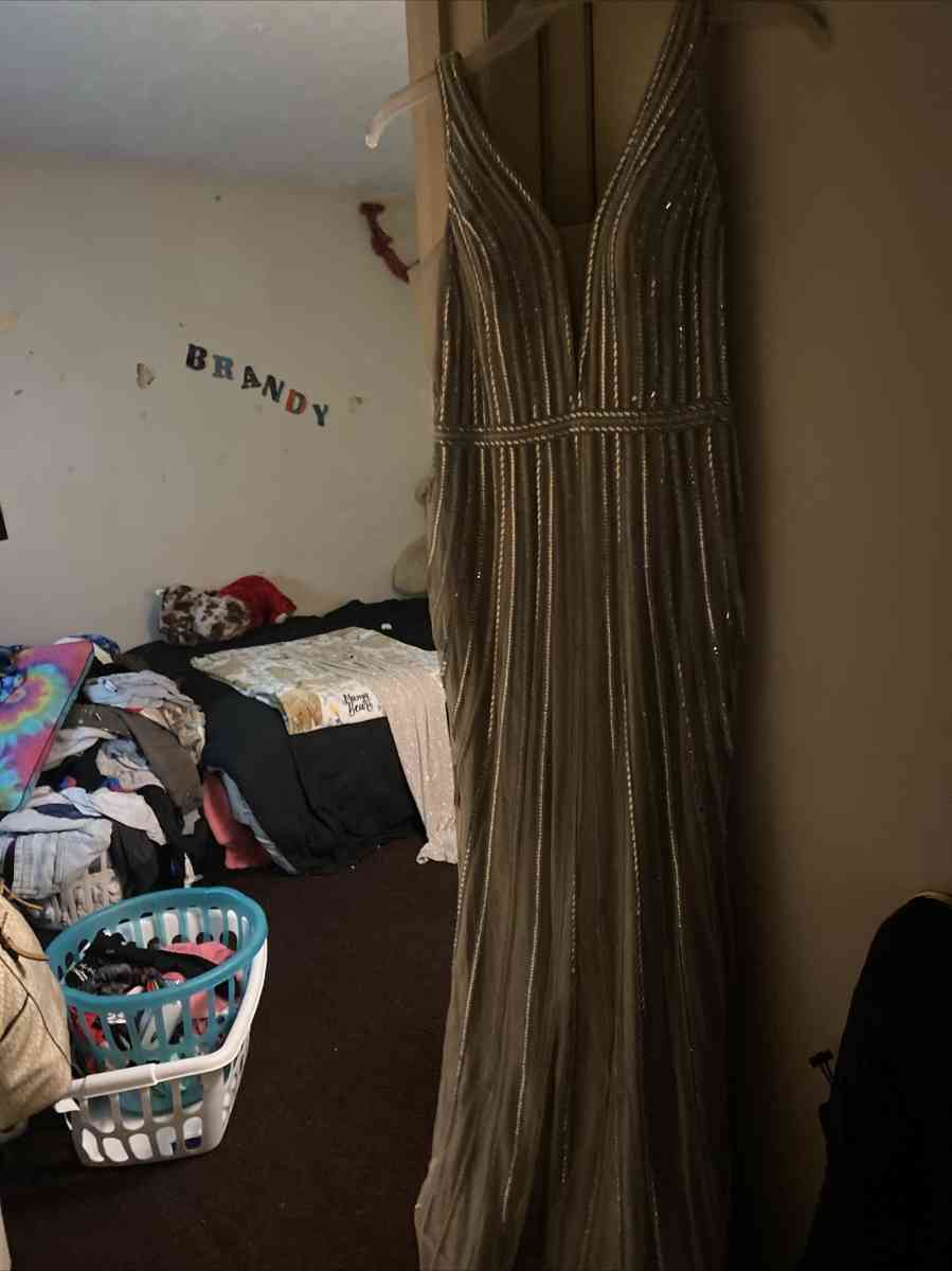 princess devine prom dress