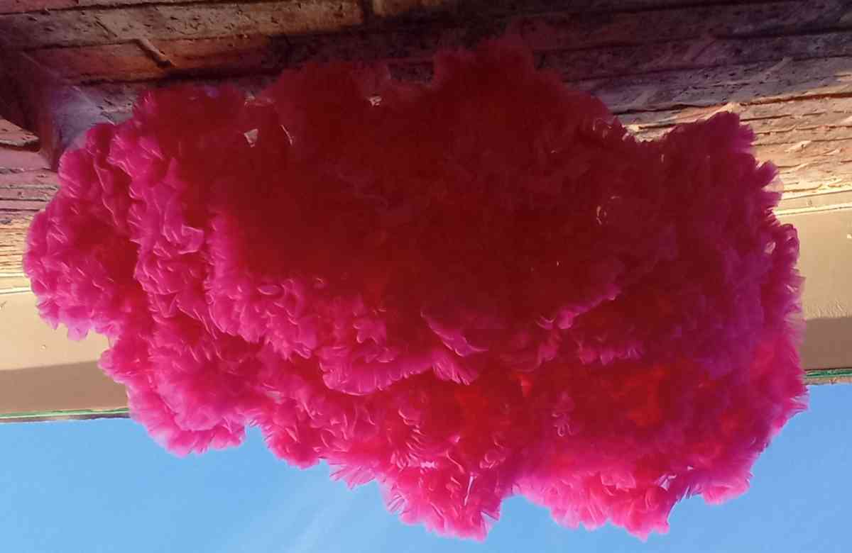 2 to 3yrs Hot Pink TuTu Pettiskirt EUC Button Cinchers