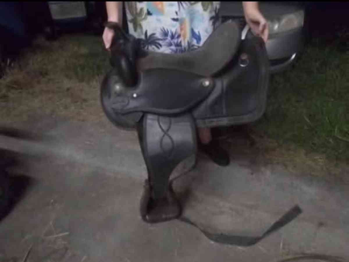 horse saddle