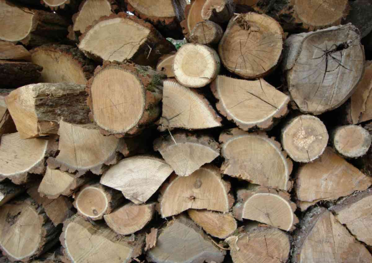 Half Cord Hardwood Mixed Firewood