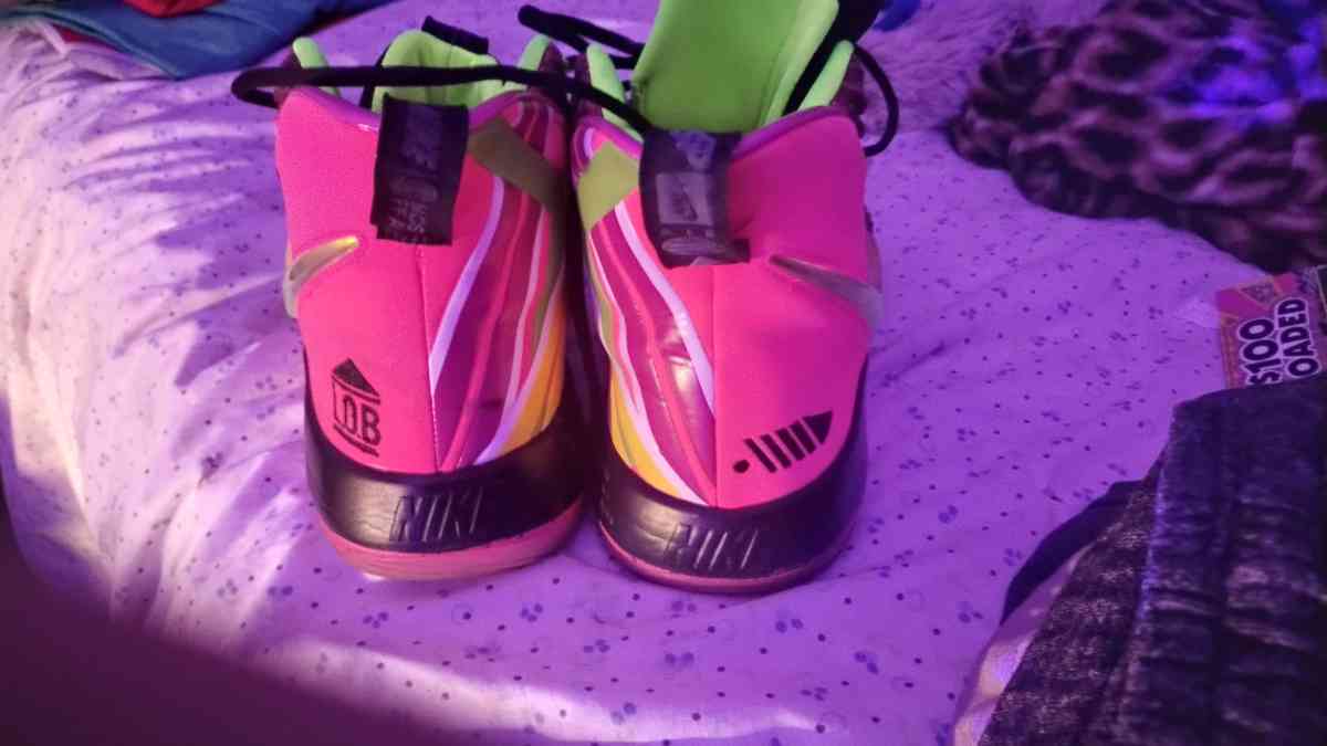 Nike Alphadunk EP Hoverboard for men