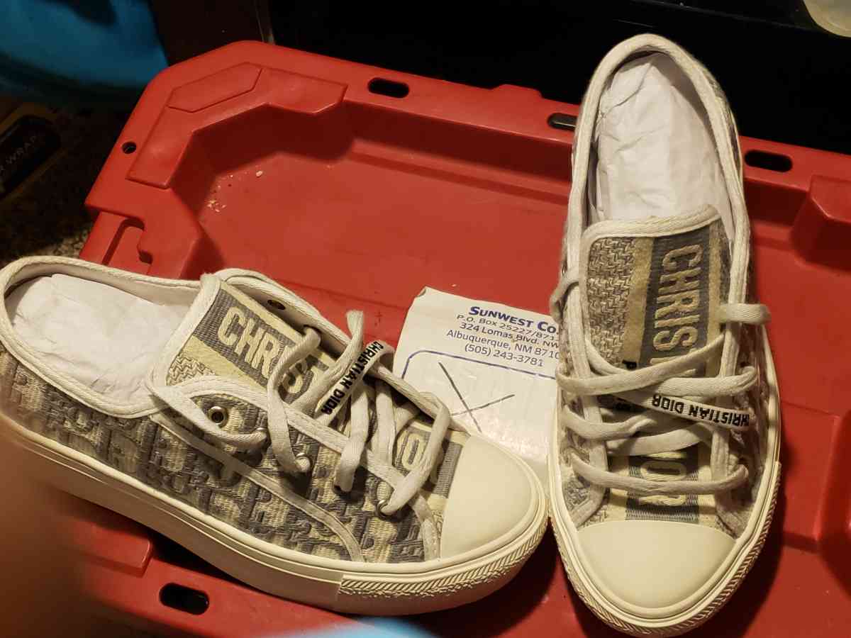 Walk N Dior sneakers