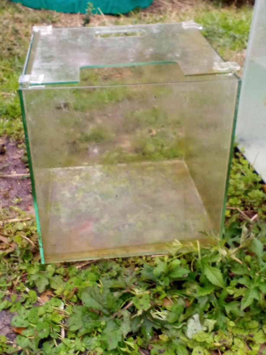 fish tanks and stuff