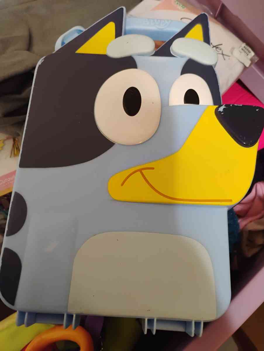 bluey box