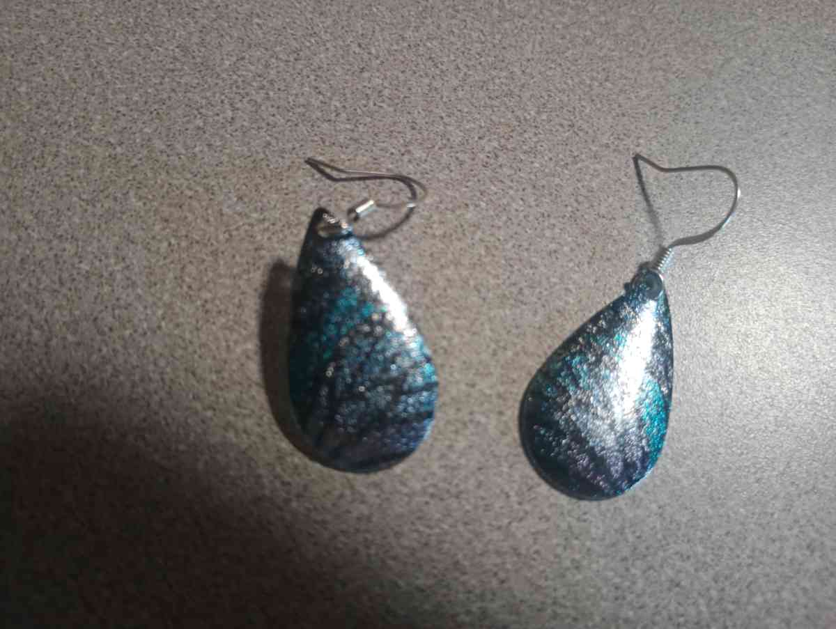 Butterfly Wing Womens Earrings