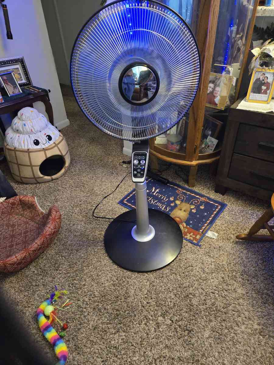 Fancy fan